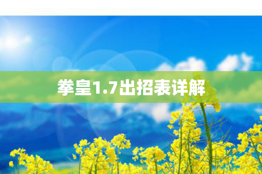 7出招表详解图片