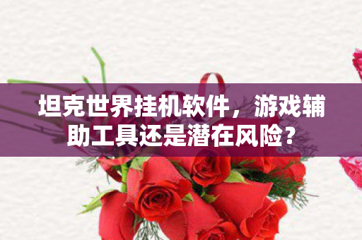 游戏辅助工具还是潜在风险图片