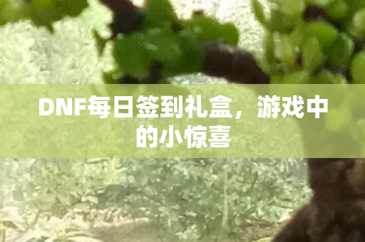 DNF每日签到礼盒图片