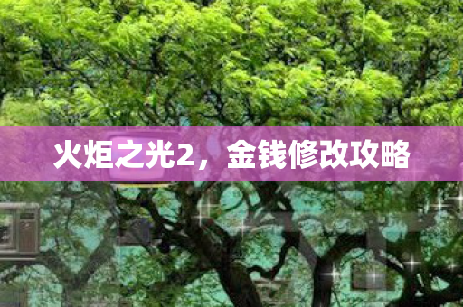 金钱修改攻略图片