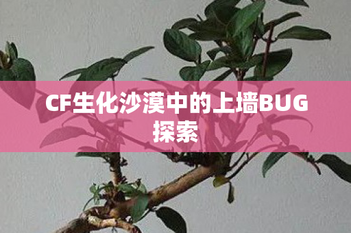 CF生化沙漠中的上墙BUG探索图片