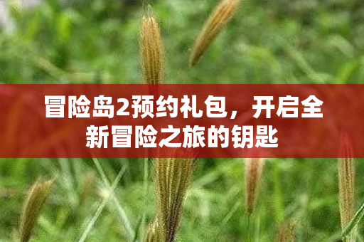 开启全新冒险之旅的钥匙图片