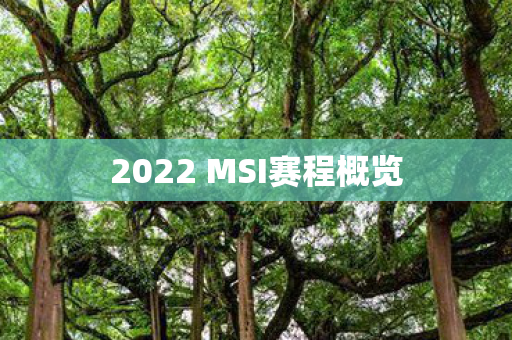 2022 MSI赛程概览图片