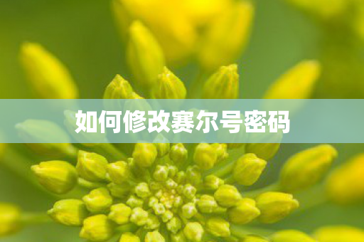如何修改赛尔号密码图片