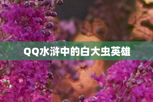 QQ水浒中的白大虫英雄图片