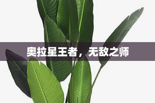 奥拉星王者图片