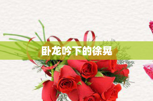 卧龙吟下的徐晃图片