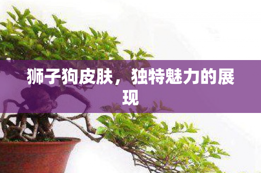 独特魅力的展现图片