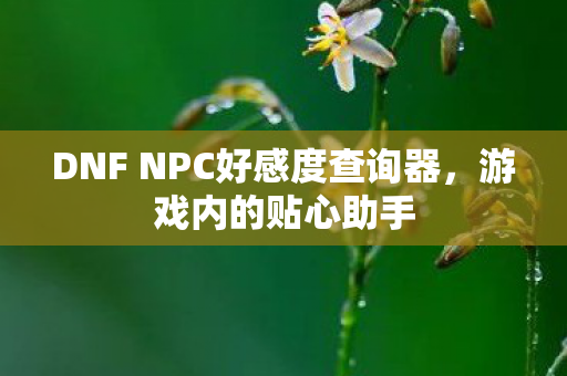 DNF NPC好感度查询器图片