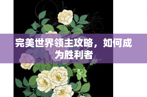 完美世界领主攻略图片