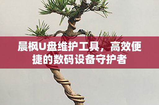 高效便捷的数码设备守护者图片