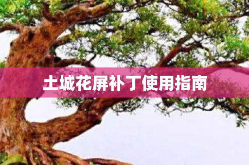 土城花屏补丁使用指南图片
