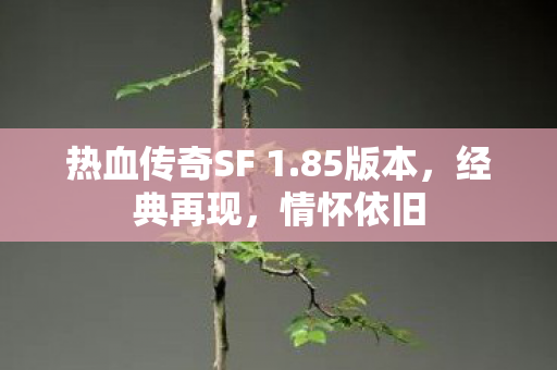 热血传奇SF 1图片