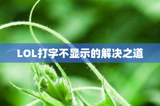 LOL打字不显示的解决之道图片