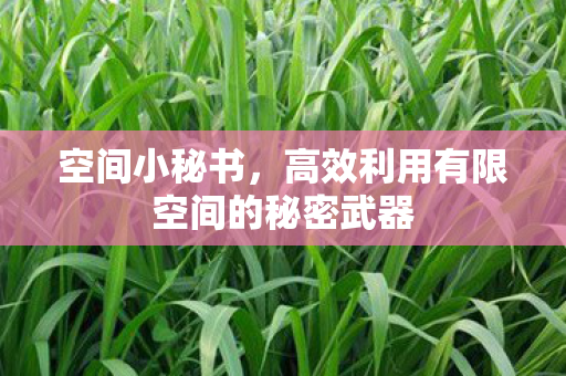 高效利用有限空间的秘密武器图片