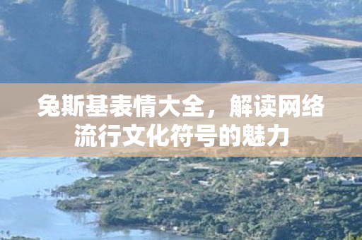 解读网络流行文化符号的魅力图片