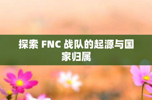 探索 FNC 战队的起源与国家归属图片