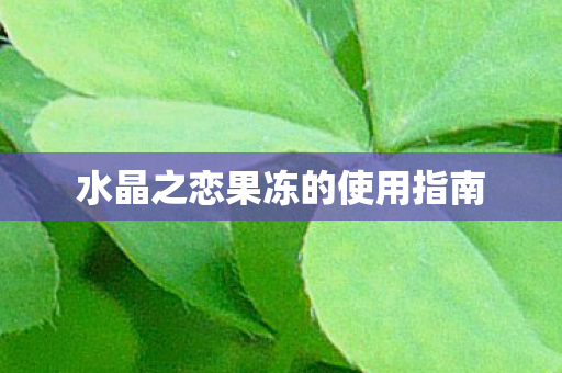 水晶之恋果冻的使用指南图片