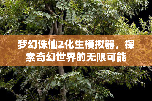 探索奇幻世界的无限可能图片