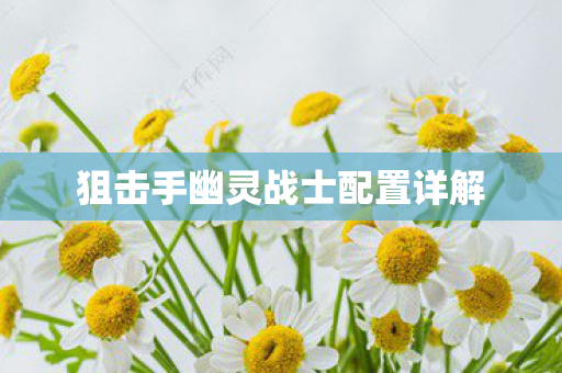 狙击手幽灵战士配置详解图片