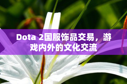 Dota 2国服饰品交易图片
