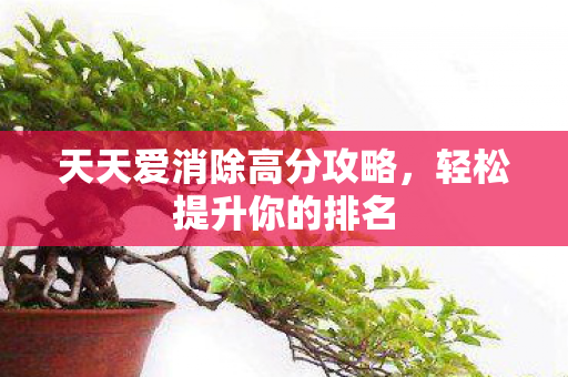 天天爱消除高分攻略图片