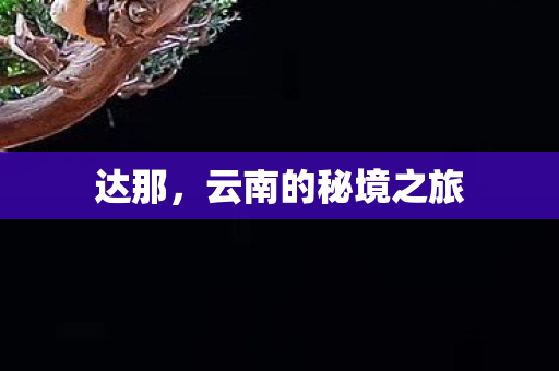 云南的秘境之旅图片