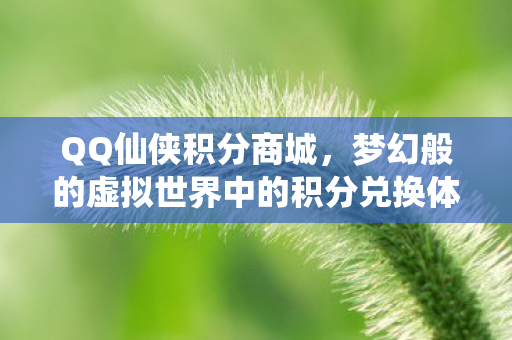 梦幻般的虚拟世界中的积分兑换体验图片