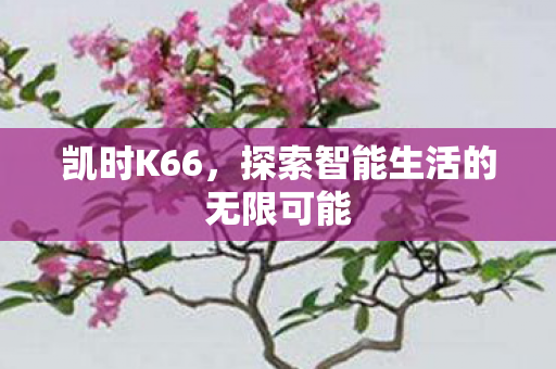 探索智能生活的无限可能图片