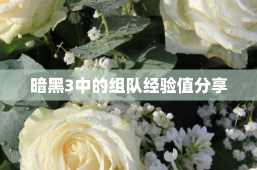 暗黑3中的组队经验值分享图片