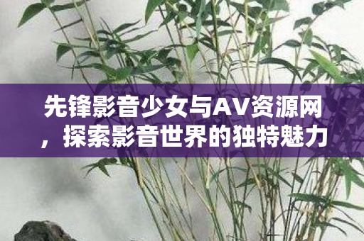 先锋影音少女与AV资源网图片