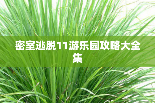 密室逃脱11游乐园攻略大全集图片