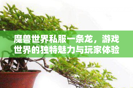 游戏世界的独特魅力与玩家体验图片