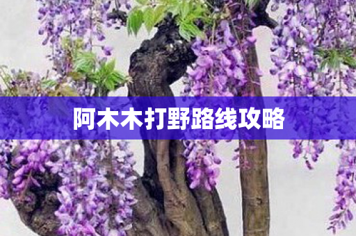 阿木木打野路线攻略图片