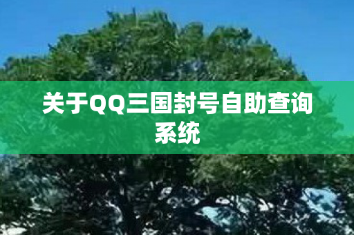 关于QQ三国封号自助查询系统图片