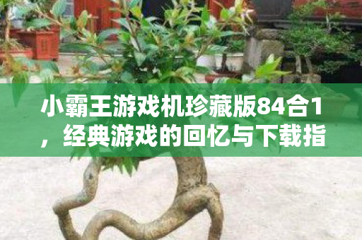 小霸王游戏机珍藏版84合1图片