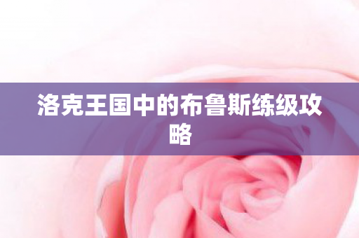 洛克王国中的布鲁斯练级攻略图片