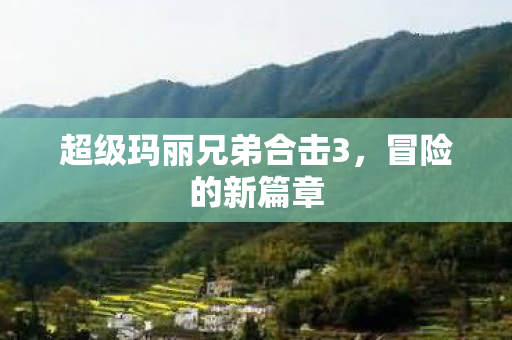 超级玛丽兄弟合击3图片