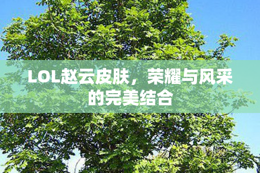 荣耀与风采的完美结合图片