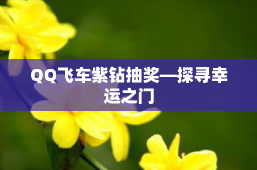 QQ飞车紫钻抽奖图片
