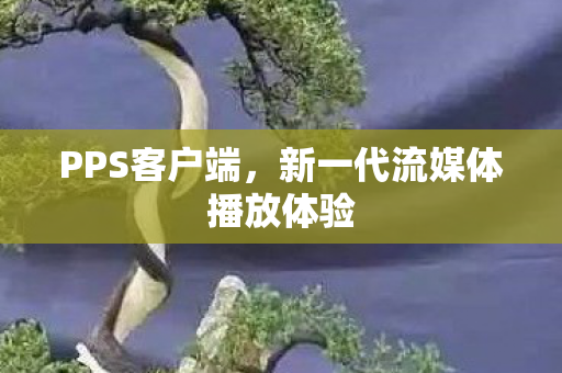 新一代流媒体播放体验图片