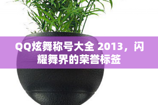 QQ炫舞称号大全 2013图片