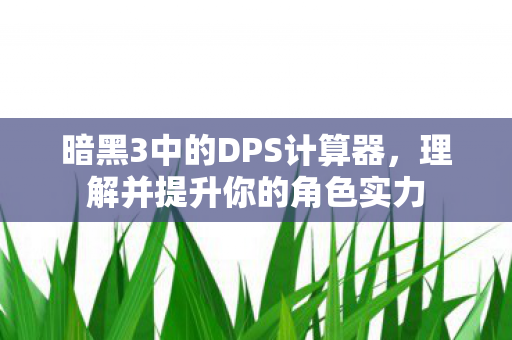 暗黑3中的DPS计算器图片