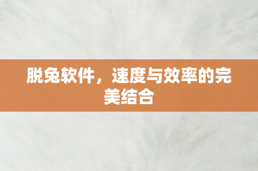 速度与效率的完美结合图片