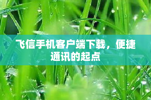 飞信手机客户端下载图片