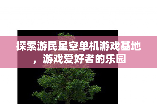 探索游民星空单机游戏基地图片