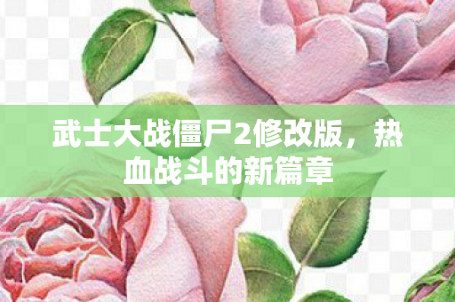 武士大战僵尸2修改版图片