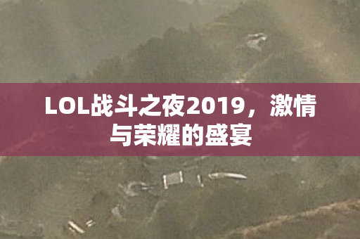 LOL战斗之夜2019图片