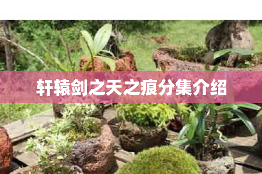 轩辕剑之天之痕分集介绍图片