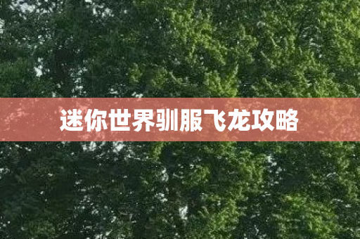 迷你世界驯服飞龙攻略图片
